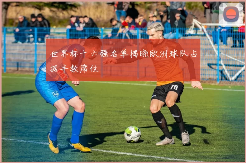 世界杯十六强名单揭晓欧洲球队占据半数席位