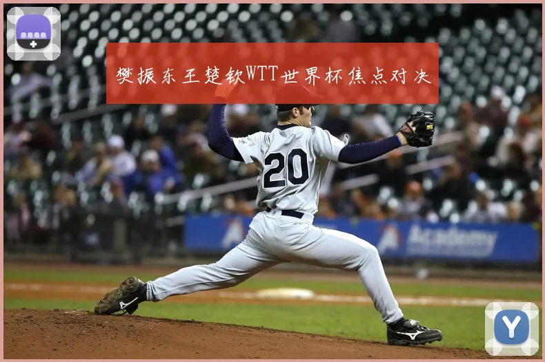 樊振东王楚钦WTT世界杯焦点对决