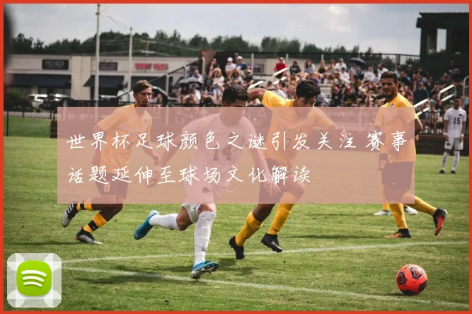 世界杯足球颜色之谜引发关注 赛事话题延伸至球场文化解读