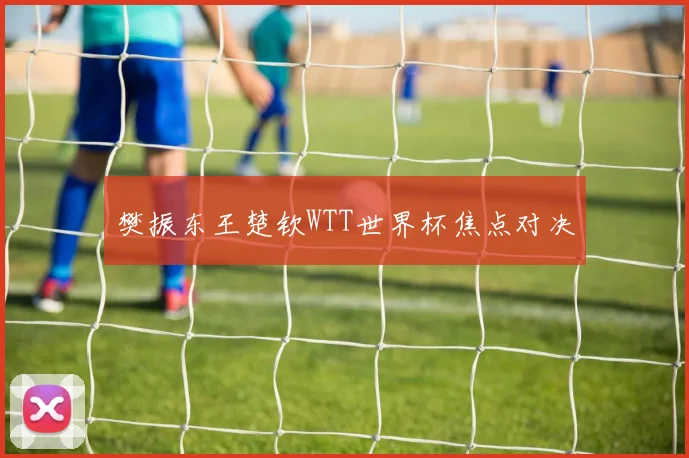 樊振东王楚钦WTT世界杯焦点对决