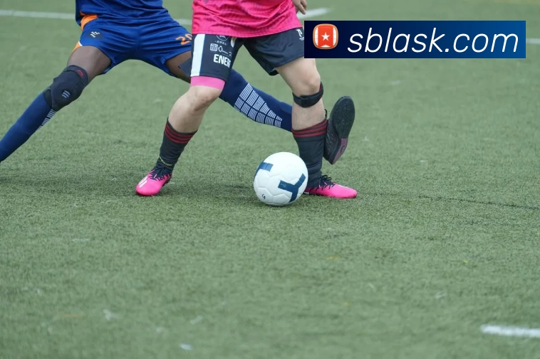 leyu乐鱼·官方web站登录入口 - 乐鱼(中国)服务体系