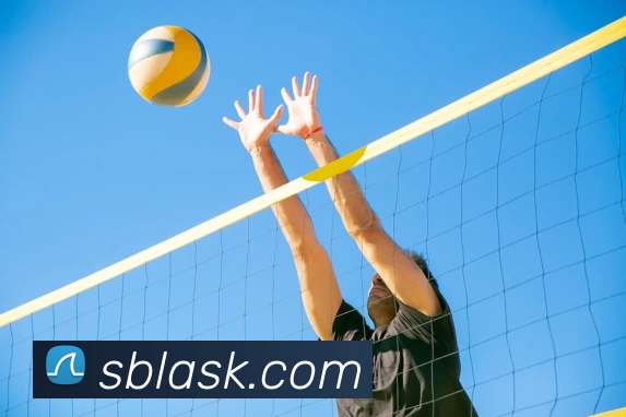 leyu乐鱼·官方web站登录入口 - 乐鱼(中国)APP 体育赛事宣传图